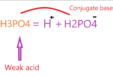 What is the conjugate base of H3PO4? (Phosphoric acid)