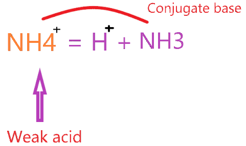 What is the conjugate base of NH4+?