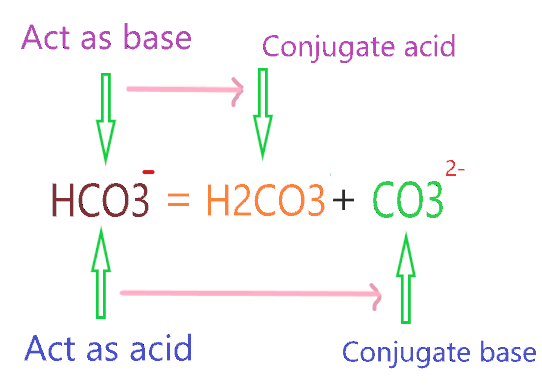 What is the conjugate base and conjugate acid of HCO3-?