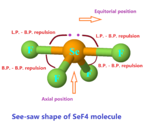 Why the molecular geometry of SeF4 is see-saw?