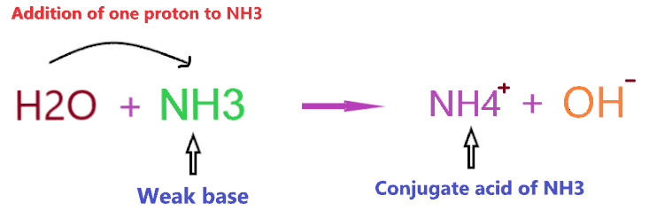 what is the conjugate acid of NH3?