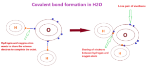 Is H2O ionic or covalent or both? What type of bond present in water?