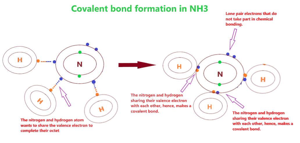 how covalent bond is formed in NH3 (ammonia)