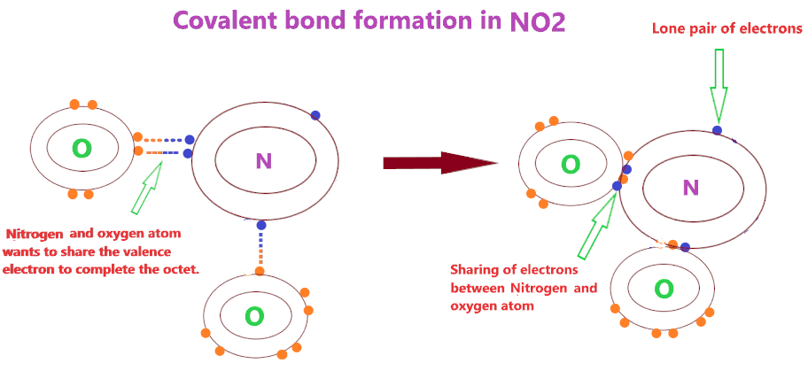 covalent bond formation in NO2