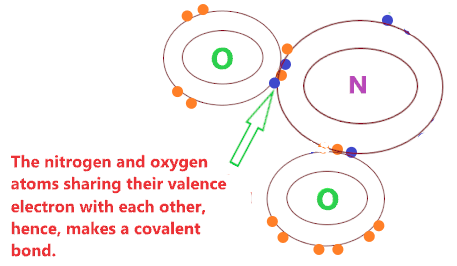 What type of bond is formed in NO2 compound