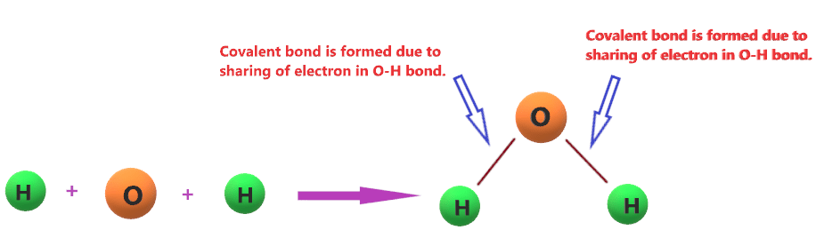 Why water (H2O) is a covalent compound?