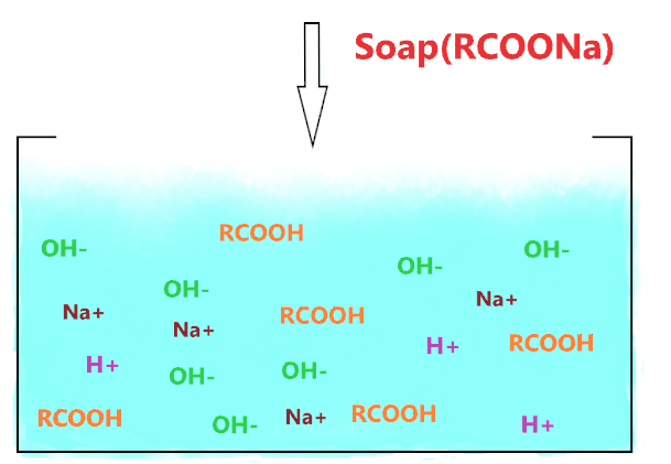 why soap solution is alkaline or basic?