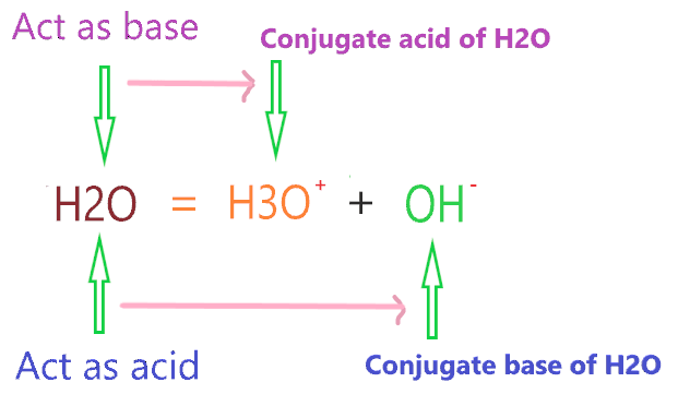 conjugate base and acid of H2O (water)