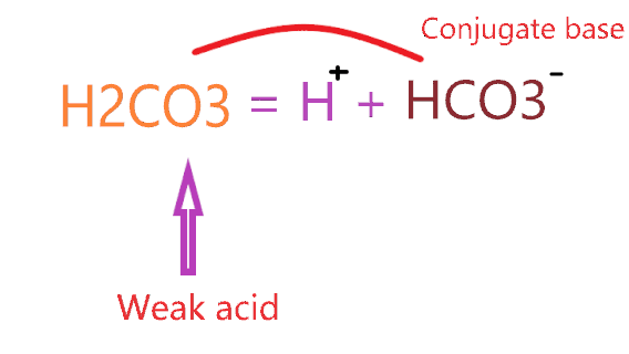 conjugate base of h2co3