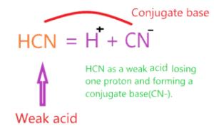 What is the conjugate base of HCN?