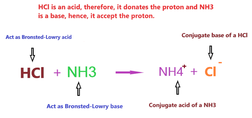 how to tell if compound is Bronsted Lowry acid or base