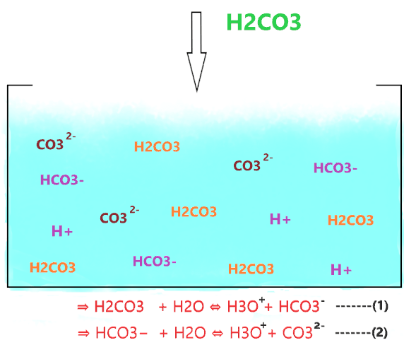 is h2co3 strong acid or weak acid?