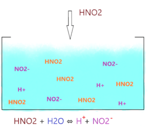 is hno2 strong acid or weak acid