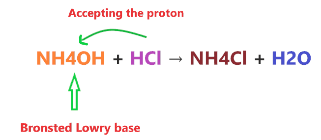 why NH4OH is a base and not an acid?