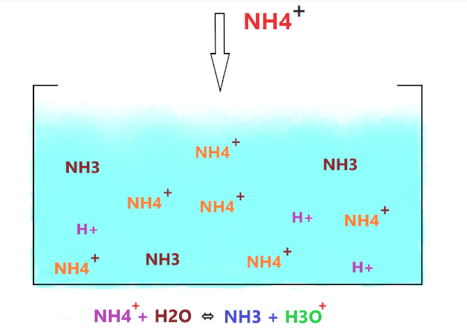 why NH4+ is a weak acid?