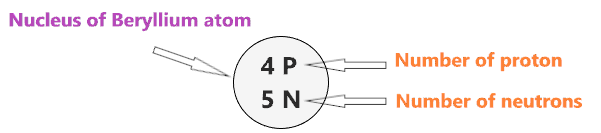 nucleus of the Bohr model of beryllium