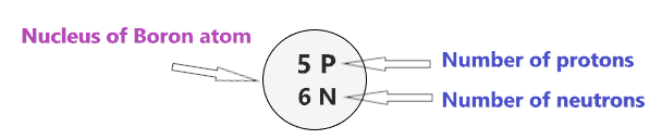 nucleus of the Bohr model of Boron