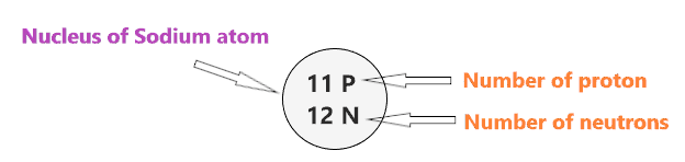 nucleus of the Bohr model of Sodium