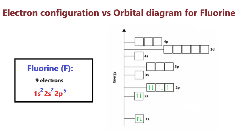 fluorine-orbital-diagram-electron-configuration-and-valence-electron