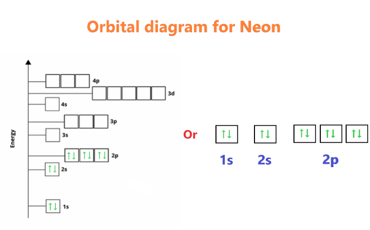 Orbital diagram for Neon (Ne)