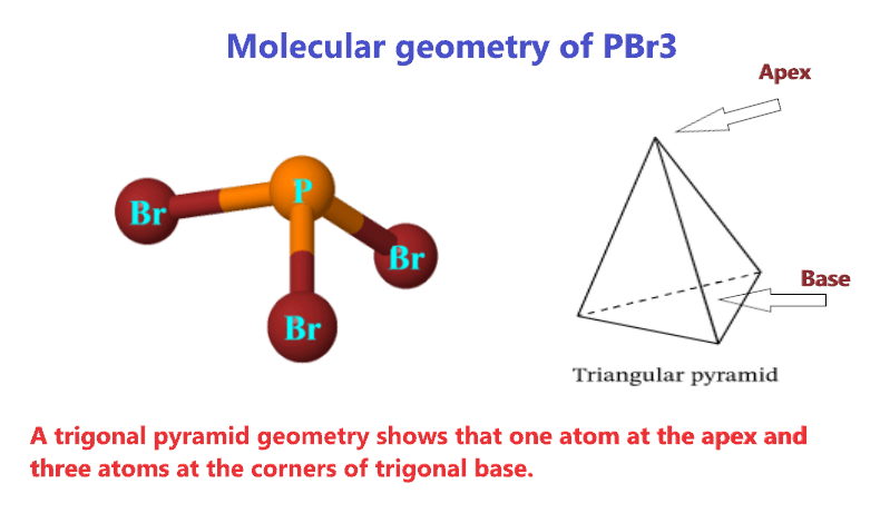 Why molecular geometry of PBr3 is trigonal pyramid?