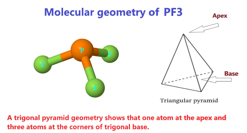 why molecular geometry of PF3 is trigonal pyramid?