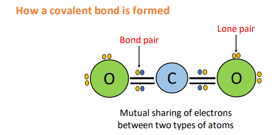 How covalent bond is formed