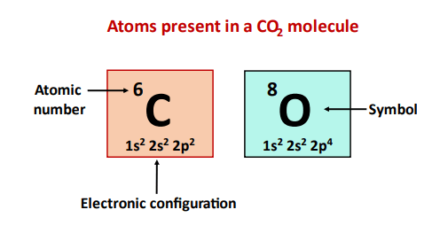 atom present in co2 molecule