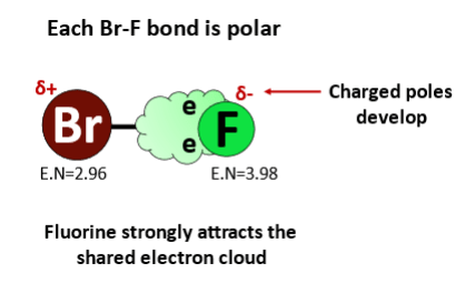 bonds in brf5 polar