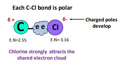 bonds in CCl4 are polar