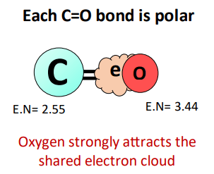 bonds in co2 are polar