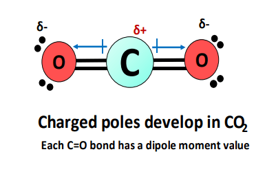 dipole moment in co2