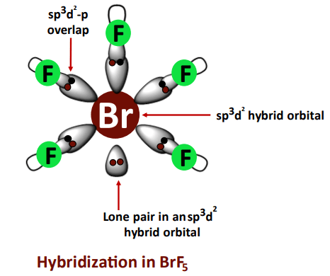 hybridization in brf5