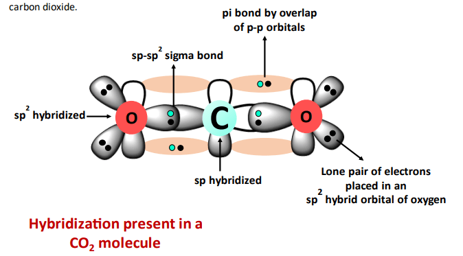 hybridization in co2