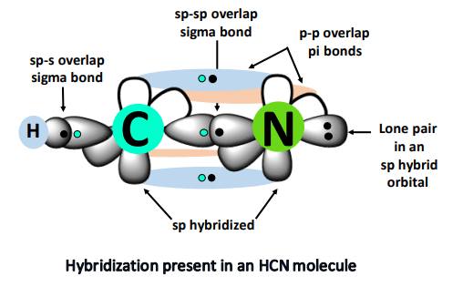 hybridization in hcn