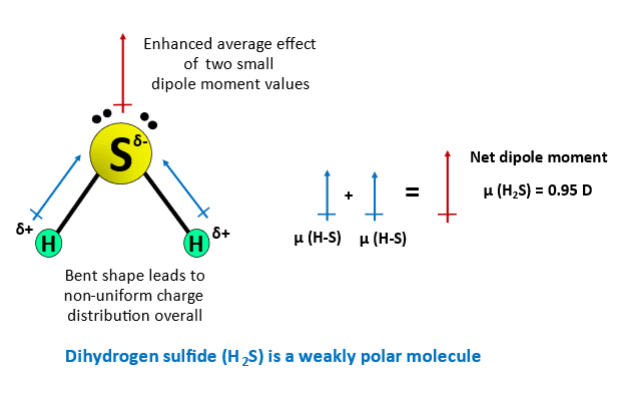 why h2s is polar