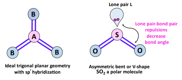 shape affecting the polarity of so2
