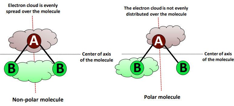 polar vs nonpolar molecule