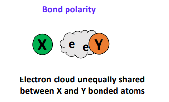 what is bond polarity