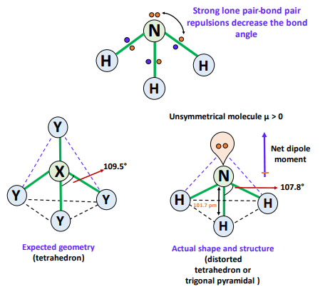 why NH3 (ammonia) is polar