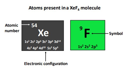 atom present in xef4 molecule