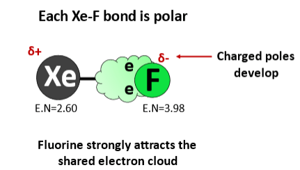 bonds in xef4 are polar