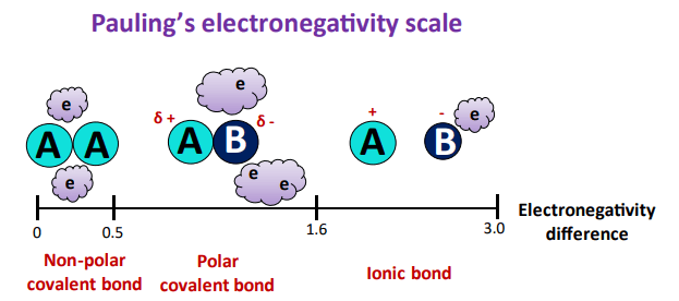 electronegativity effect in polarity of CHCl3