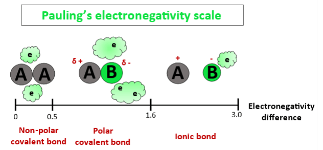 electronegativity affecting the polarity of xef4