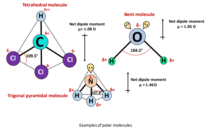 tell some examples of polar molecule