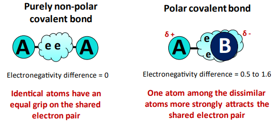 how to tell if bond is polar or nonpolar?