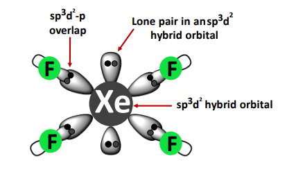 hybridization in xef4