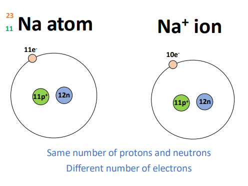 number of proton electron neutron in sodium ion
