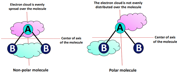 polar vs nonpolar difference