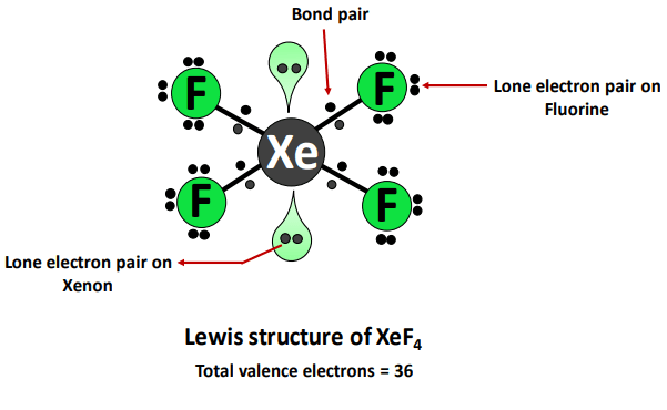 xef4 lewis structure